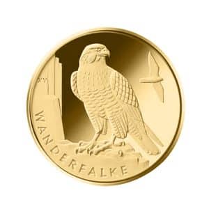20€ Goldmünze 2019 Wanderfalke / Heimische Vögel